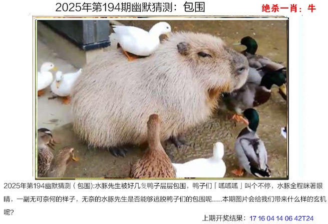 幽默猜测